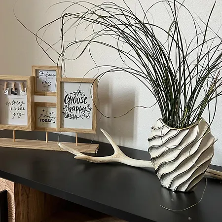 Haus Fewo 5 Apartment